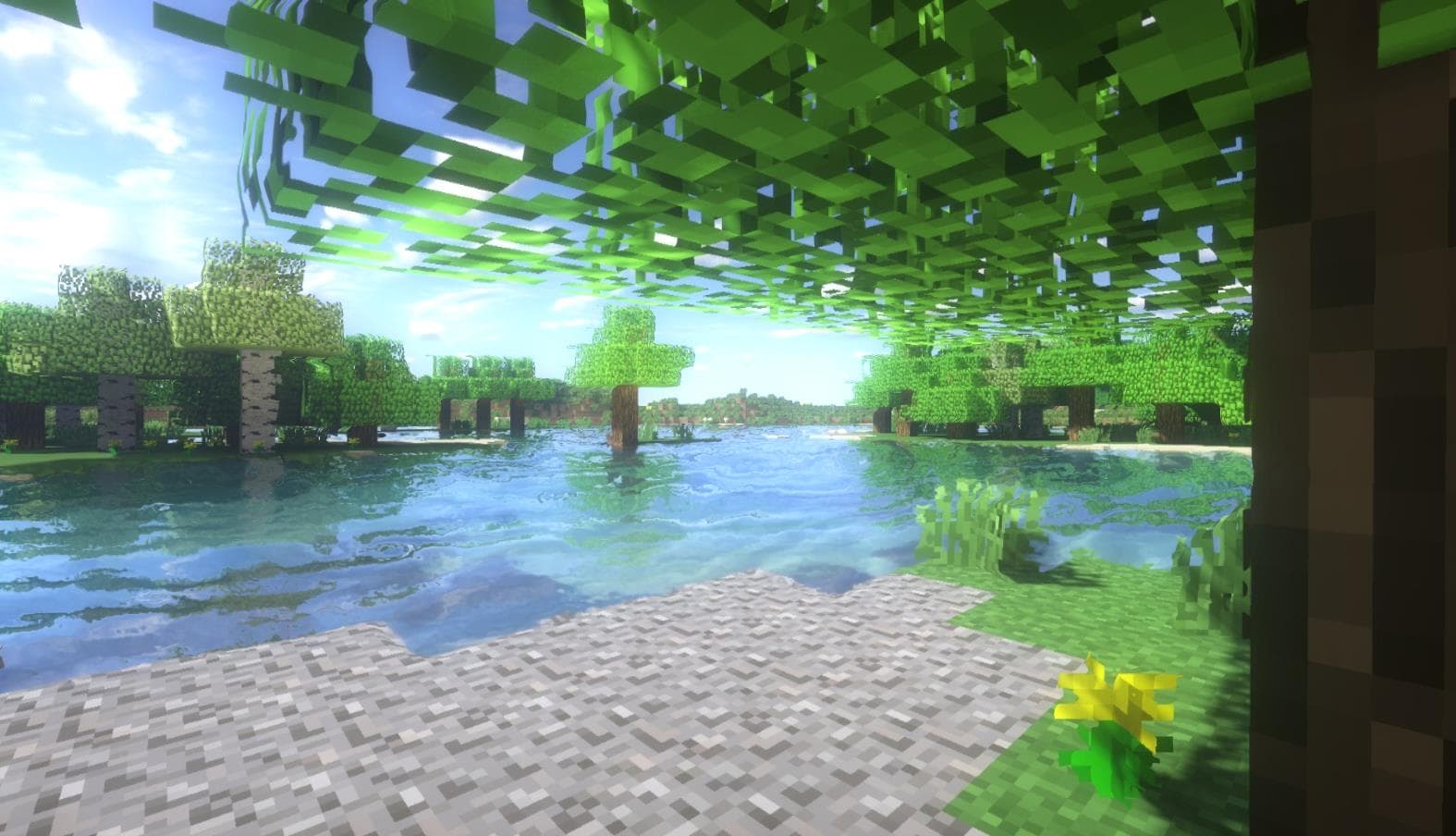 从0开始配置智能合约测试环境